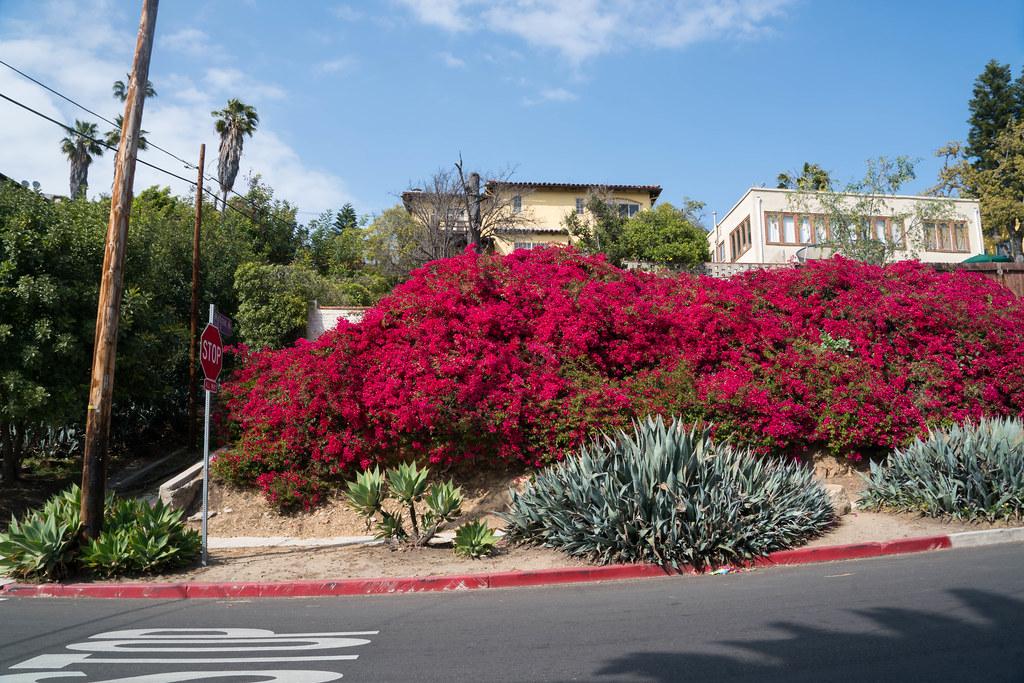 Silver Lake & Echo Park