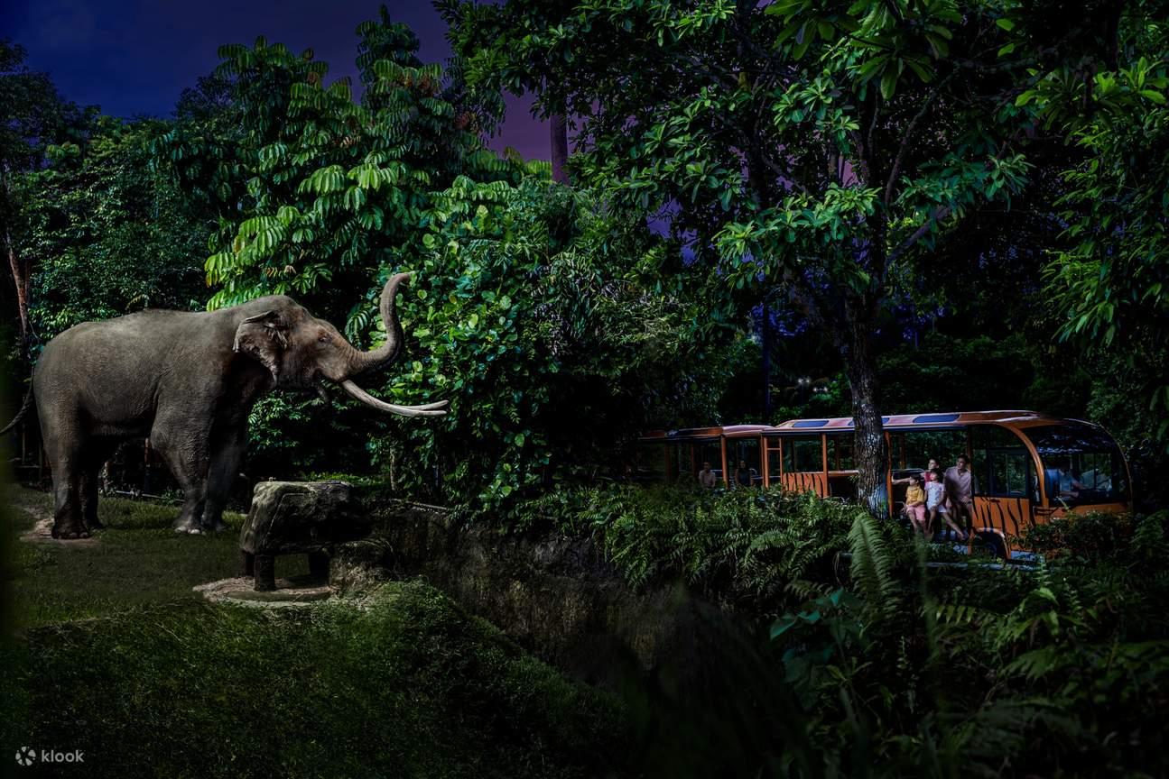 Singapore Night Safari
