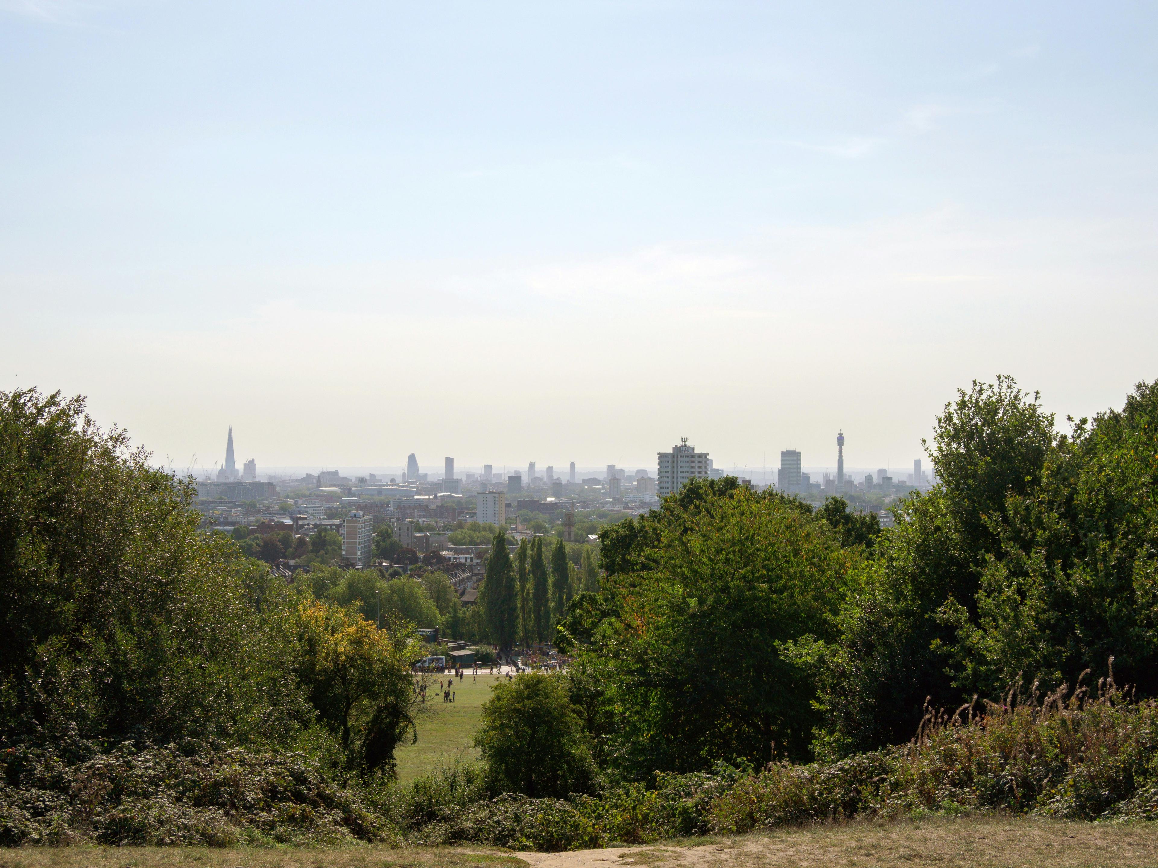 Hampstead Heath