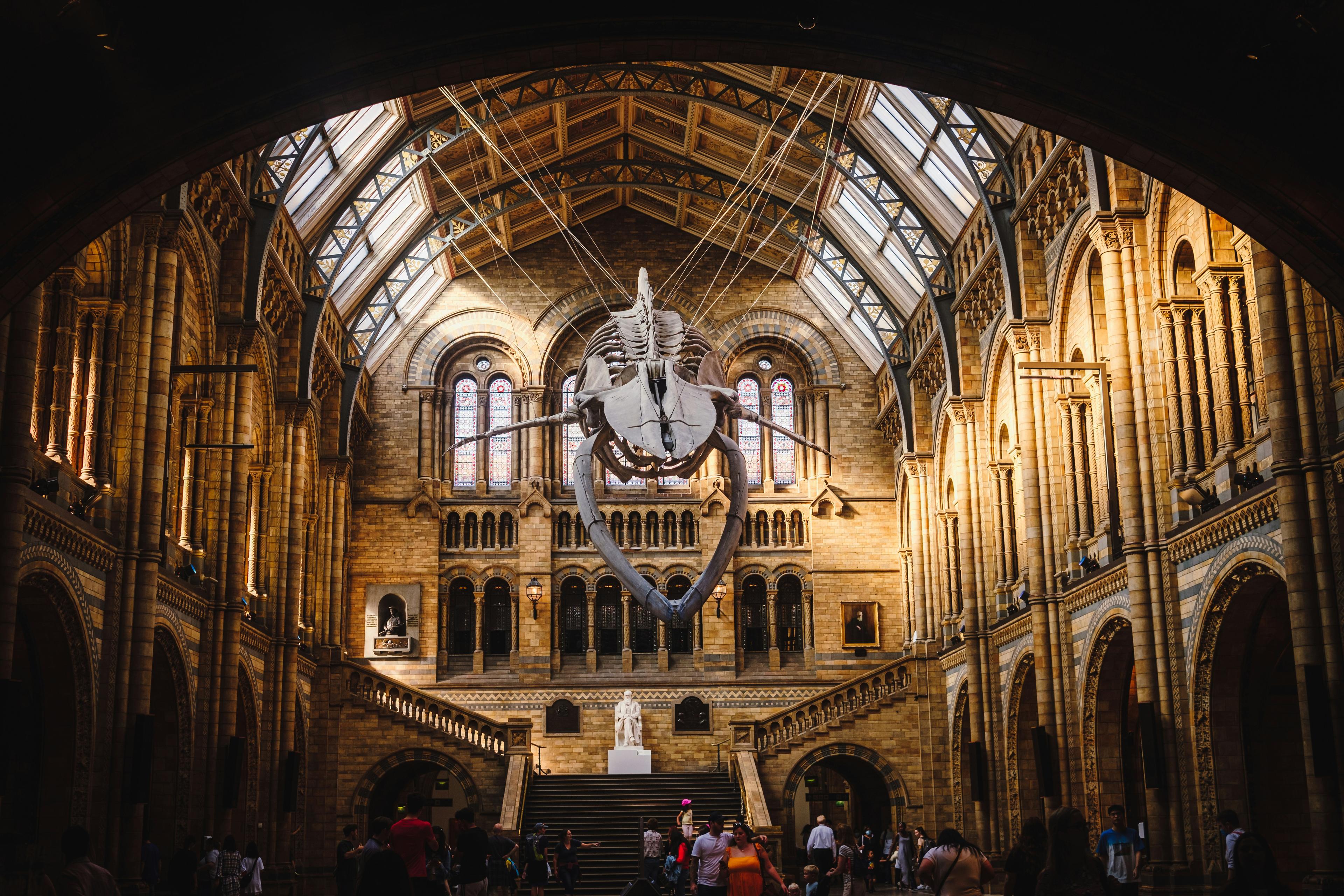 Natural History Museum
