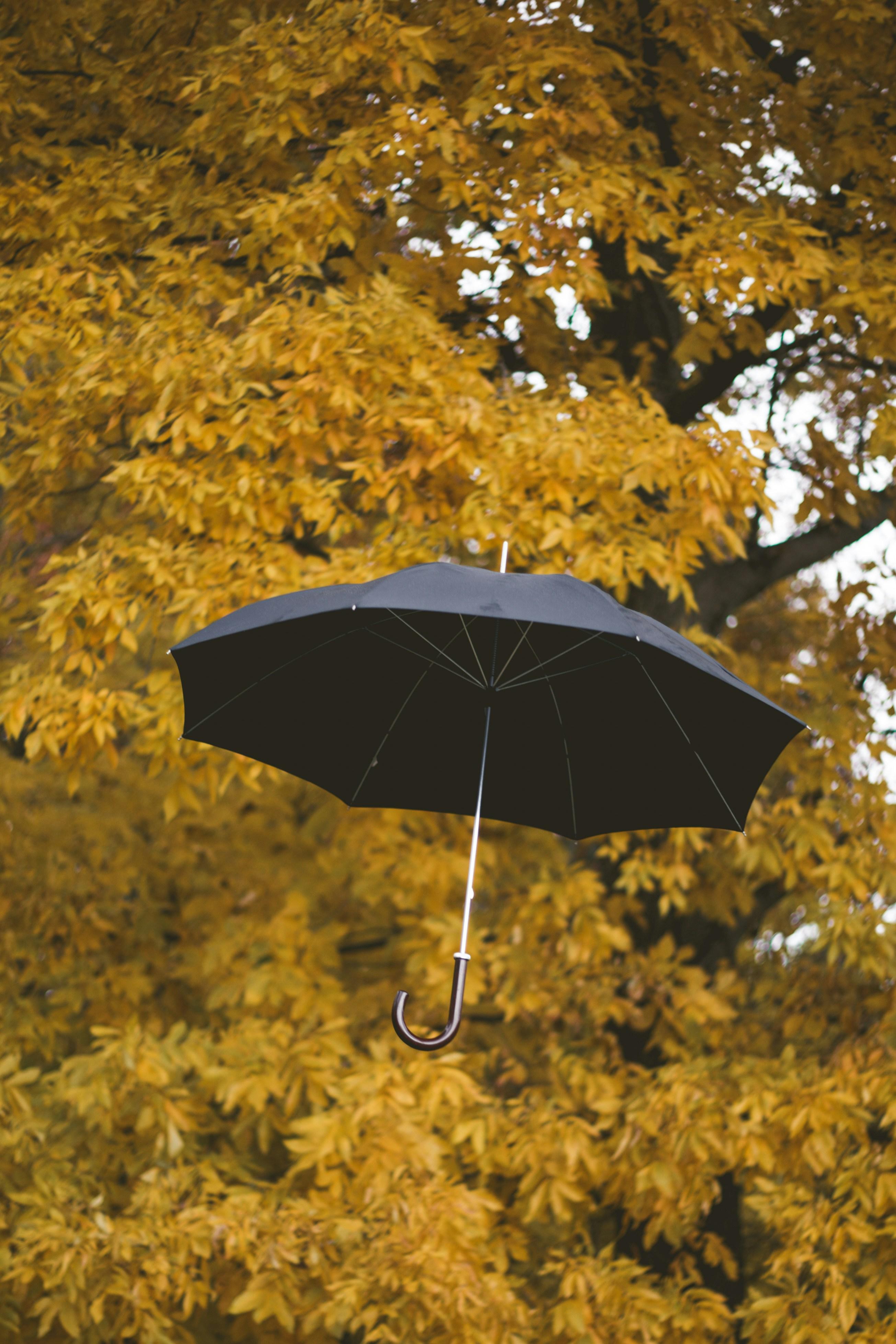 Compact Travel Umbrella