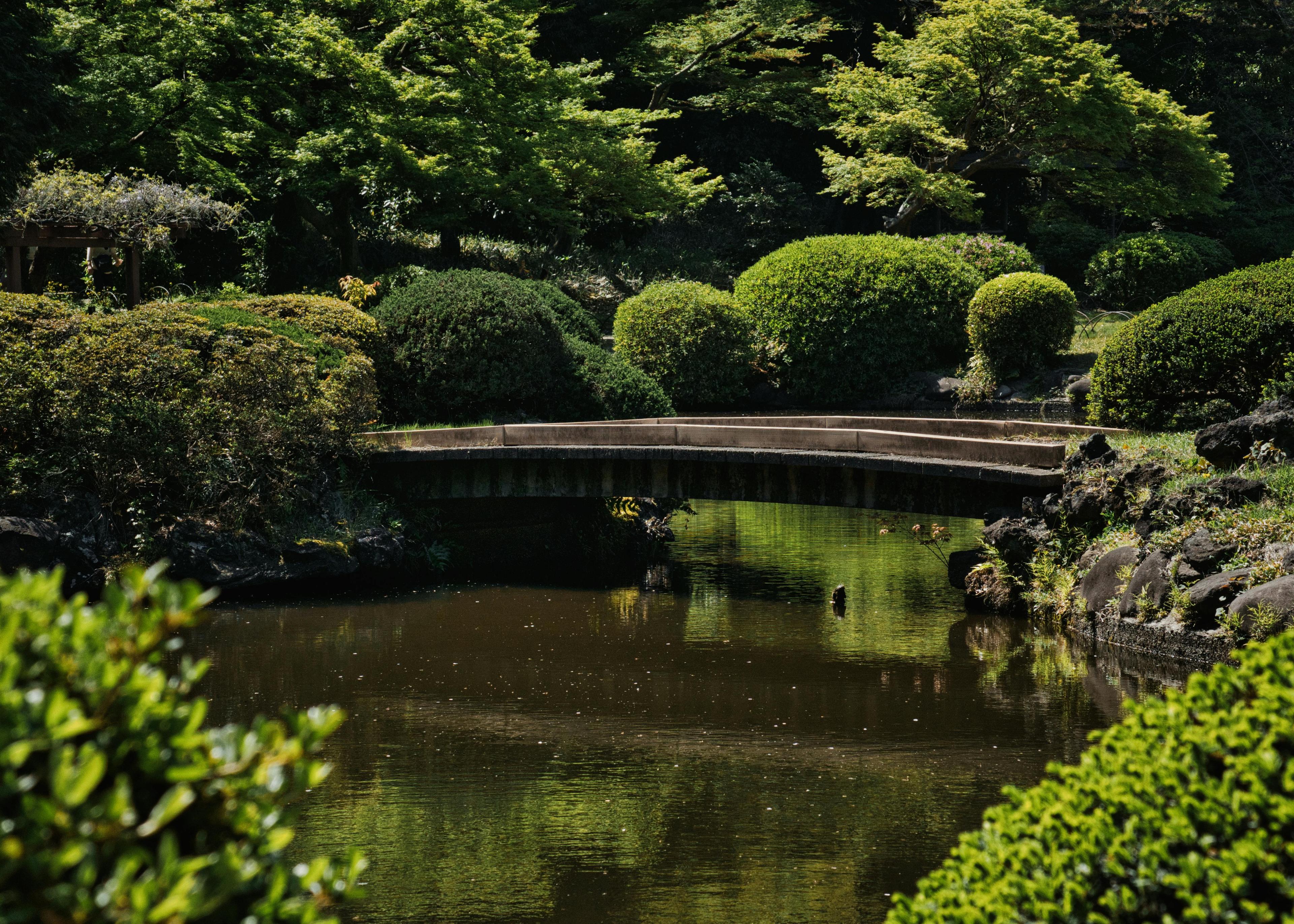 Shinjuku Gyoen